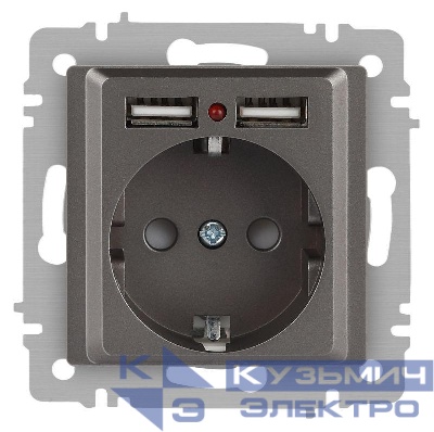 Розетка 1-м СП Accent 6-410-09 16А IP20 250В P+E Schuko + 2хUSB защ. шторки титан Intro Б0063711