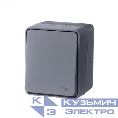 Переключатель проходной 1-кл. ОП AtlasDesign PROFI IP54 10AX антрацит SE ATN544061