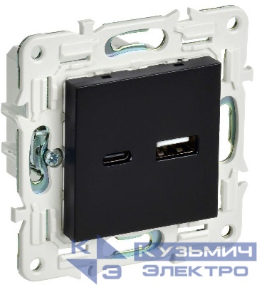 Розетка USB A+C 18Вт SKANDY SK-R13Bl черн. IEK SK-U22-018-K02