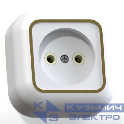 Розетка 1-м ОП Валентина РА10-266 10А IP20 бел./зол. Кунцево 7639
