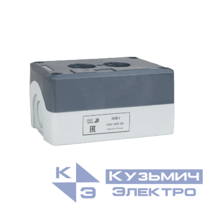 Корпус кнопочного поста OptiSignal D22 A5-BD-2 2 отв XALD02 КЭАЗ 338519