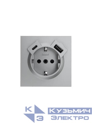Розетка 1-мест. с/з Type-C+USB разъем СП ZIMA IP20 сер. матов. LEZARD 704-7488-181TC