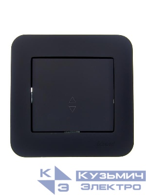 Переключатель проходной 1-кл. 1п СП ASTI 10А IP20 в сборе черн. бархат LEZARD 7081-4242-105