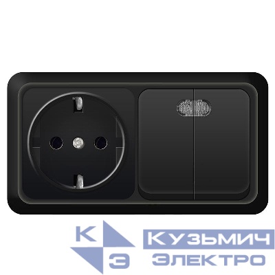 Блок ОП Олимп 2-кл. выкл. с подсветкой 10А + роз. с заземл. 16А 220В горизонт. черн. Universal 7946812