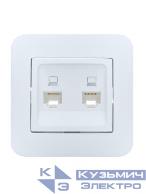 Розетка компьютерная 2-м СП ASTI IP20 RJ45 в сборе бел. LEZARD 7081-0202-141