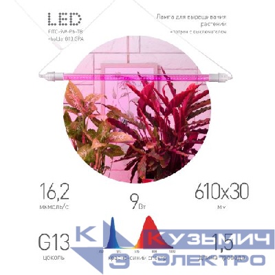 Светильник FITO-9W-Rb-Т8+FITO-Holder IP65 2хG13 линейный для растений с выключателем 1.5м Эра Б0069515