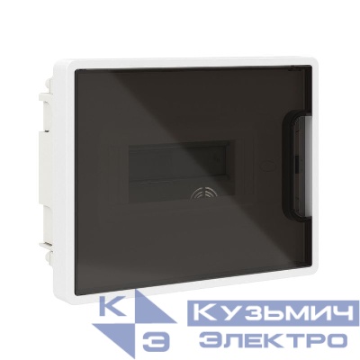 Щиток встраиваемый Фрейм (FRAME) ЩРв-п-8 8мод. IP41 с тонированной дверцей с 2 шинами PEN на 6 и 8 отверст. бел. DKC F08B1WD
