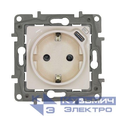 Розетка USB C Etika 16А 250В 1500мА 7.5Вт с заземл. защ. шторки безвинт. зажимы сл. кость IEK 672388