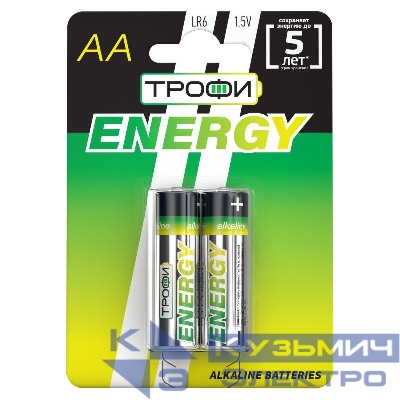 Элемент питания алкалиновый AA/LR6 LR6-2BL Eco (блист.2шт) Трофи Б0017045