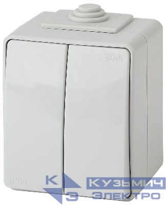 Выключатель 2-кл. ОП Эра Эксперт 10А IP65 11-1604-03 250В 10AX (10/100/1600) сер. Эра Б0035976
