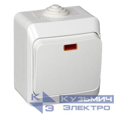 Выключатель 1-кл. ОП Этюд 10А IP44 10AX с подсветкой бел. SE BA10-045B