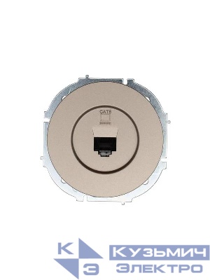 Розетка компьютерная СП OSEN RJ45 кат.6 механизм титан LEZARD 743-3788-140