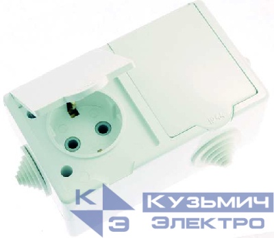 Розетка 2-м ОП РА16-759 16А IP44 с заземл. ПГ бел. Кунцево 5907