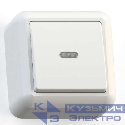 Выключатель 1-кл. ОП Оптима 10А IP20 А110-386 с индикацией с монтаж. пластиной бел. Кунцево 8001