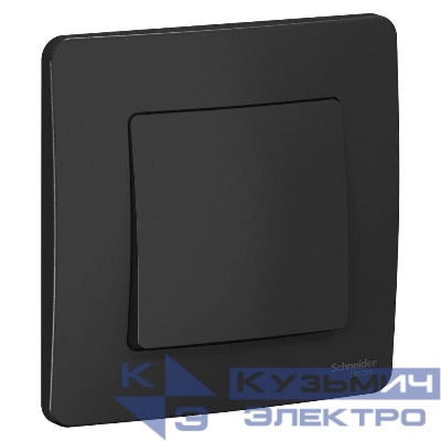 Выключатель 1-кл. СП Blanca 10А IP20 (сх. 1) 250В антрацит SE BLNVS010106