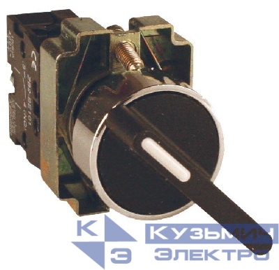 Переключатель BJ21 2P длинная рукоятка EKF xb2-bj21