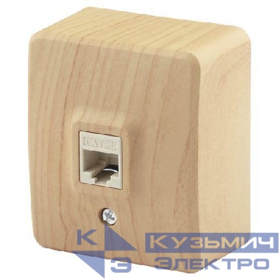 Розетка компьютерная ОП Эксперт RJ45 11-3203-11 IP20 сосна Эра Б0020732