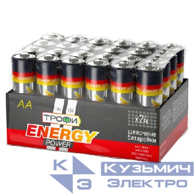 Элемент питания алкалиновый AA/LR6 LR6-24 bulk ENERGY POWER Alkaline (уп.24шт) Трофи Б0035376