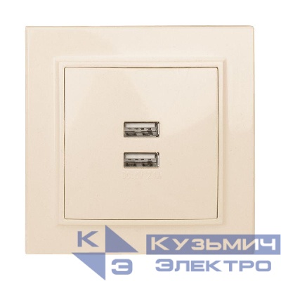 Розетка USB 2-м СП Минск 2.1А беж. EKF ERR-2USB-200