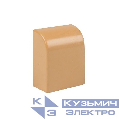 Заглушка 20х10 под свет. дерево Plast PROxima (уп.4шт) EKF ecl-20-10x4