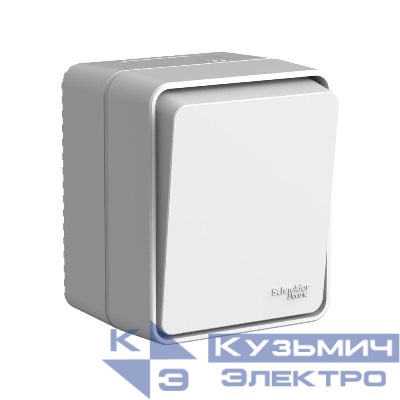 Выключатель кнопочный 1-кл. ОП AtlasDesign PROFI IP54 10АХ сер. SE ATN543015