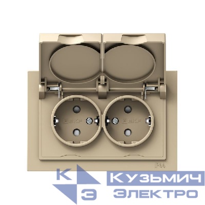 Розетка 2-м СП Эпика 16А IP44 с заземл. защ. шторки с рамкой с крышками механизм шампань EKF UP1-SOC-211-44