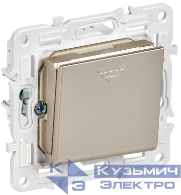 Выключатель карточный SKANDY 30А SK-V15Sh шампань IEK SK-V11-0-10-K37