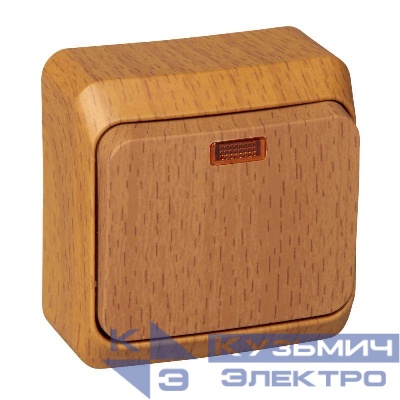 Выключатель 1-кл. ОП Этюд Дача 10А IP20 с подсветкой бук SE BA10-005T