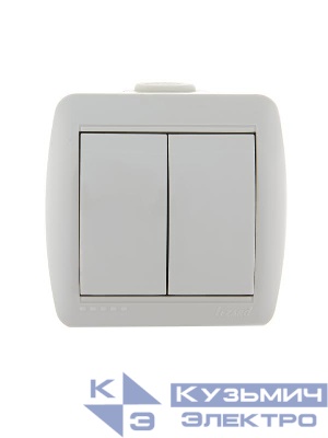 Выключатель 2-кл. ОП Nata 10А IP20 бел. LEZARD 710-0200-101