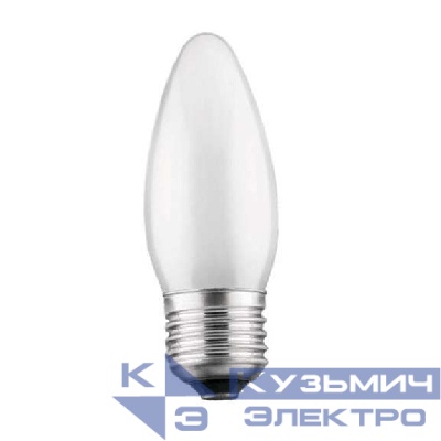 Лампа накаливания ДСМТ 230-40Вт E27 (100) Favor 8109019