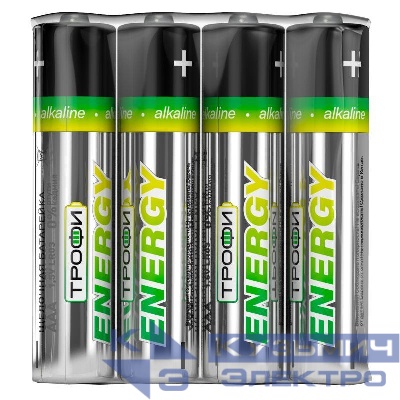 Элемент питания алкалиновый AAA/LR03 LR03-4S Eco (уп.4шт) Трофи Б0017041