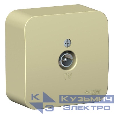 Розетка телевизионная TV ОП Blanca коннектор с изолир. пластиной беж. SE BLNTA000017