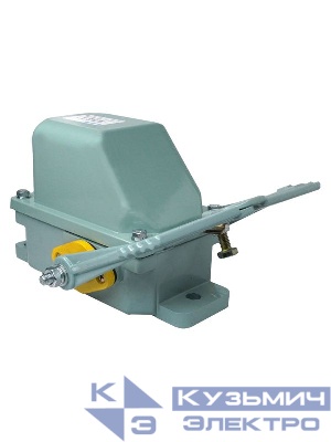 Выключатель концевой НВ-702 У1 рычаг с 2-мя педалями 10А IP44 2 эл. цепи Электротехник ET513982