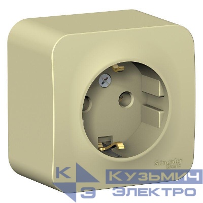 Розетка 1-м ОП Blanca 16А IP20 250В с заземл. без защ. шторок с изолир. пластиной беж. SE BLNRA010117