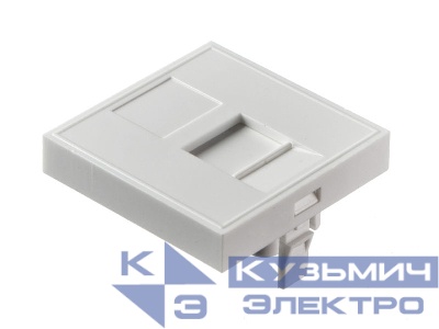 Вставка в рамку 45х45мм (французский тип), 1 порт