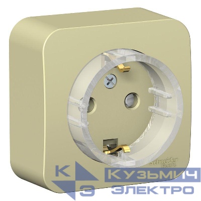 Розетка 1-м ОП Blanca 16А IP20 250В с заземл. защ. шторки с изолир. пластиной (компакт) беж. SE BLNRA111117