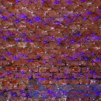 Гирлянда светодиодная "Сеть" 2х1.5м 288LED бел./син. 24Вт 220-240В IP65 с контроллером 8 режимов провод ПВХ черн. Neon-Night 215-022