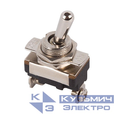 Тумблер 250В 10А (2с) ON-OFF 1п Mini (ASW-23) Rexant 36-4310