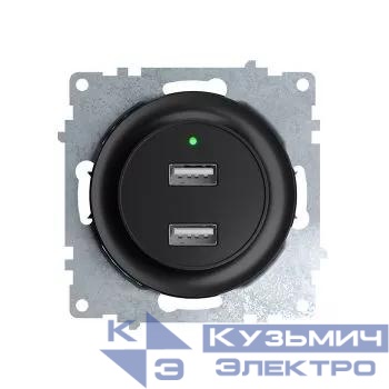 Розетка USB 2-м СП Florence 16А IP20 с подсветкой механизм черн. (1E10351303) OneKeyElectro 2260092