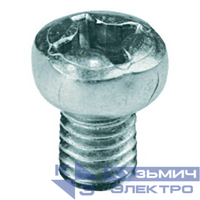 Винт с полуцилиндрической головкой М6х10 нерж. сталь INOX 316L (уп.200шт) DKC CM090610INOX316L