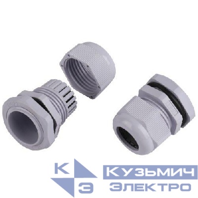 Ввод кабельный (сальник) PG 21 d13-18мм (d отверст. 28мм) IP54 (уп.15шт) Эра Б0065200