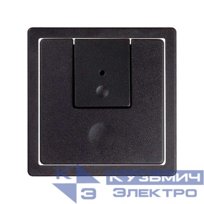 Накладка на 75310-39; 75324-39 Simon82/82Nature графит 82007-38