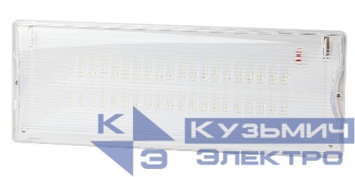 Светильник светодиодный DPA-301-0-65 40LED 3ч IP65 аварийный непостоянный Эра Б0044405