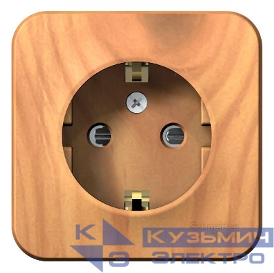 Розетка 1-м ОП Blanca 16А IP20 250В с заземл. защ. шторки с изолир. пластиной ясень SE BLNRA011115