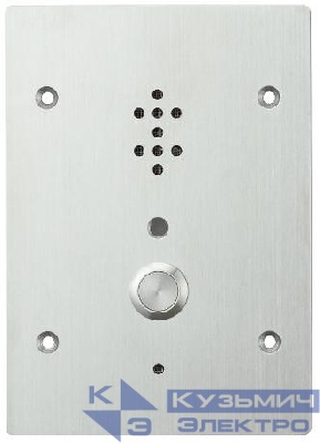 Станция дверная (упр.выход 30 Vdc/50 мА) N-8050 DS