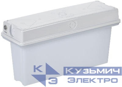 Светильник светодиодный ССА1010 1ч IP65 аварийный универс. IEK LSSA0-1010-1-65-K01