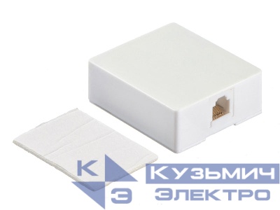 Розетка телефонная внешняя / 1 порт RJ12(6p6c) / 6 контактная, белая, Netko