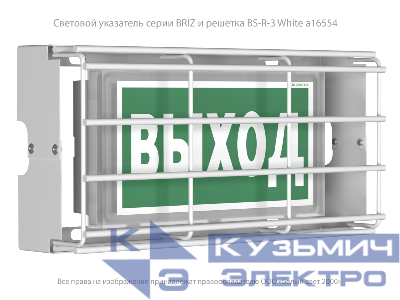 Решетка защитная BS-R-3 для светильника BRIZ VOLN Белый свет a16554