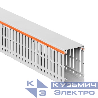 Кабель-канал перфорированный 40х60 L2000 RLHF6 без галогенов свет. сер. DKC 01107RLHF