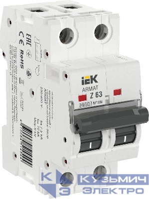 Выключатель автоматический модульный 2п Z 63А M10N ARMAT IEK AR-M10N-2-Z063